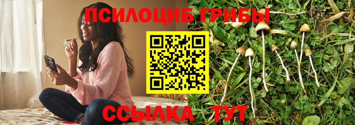 Москва  Псилоцибиновые грибы GOLDEN TEACHER  Вход с VPN 